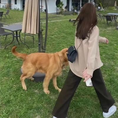 十个小黑人